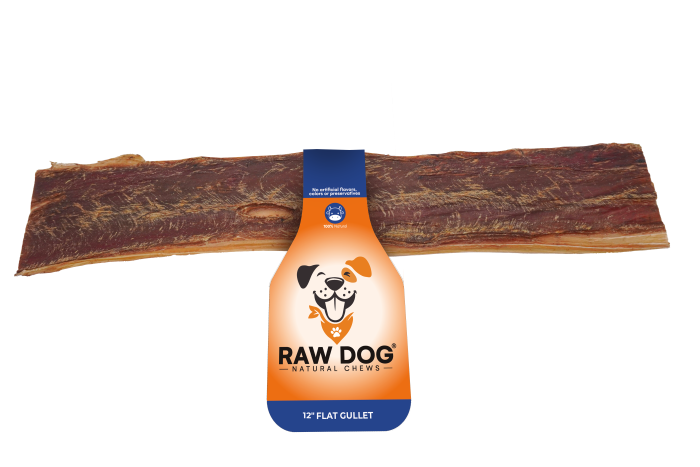 Raw Dog Beef Jerky Flat Gullet Dog Chew - 12in
