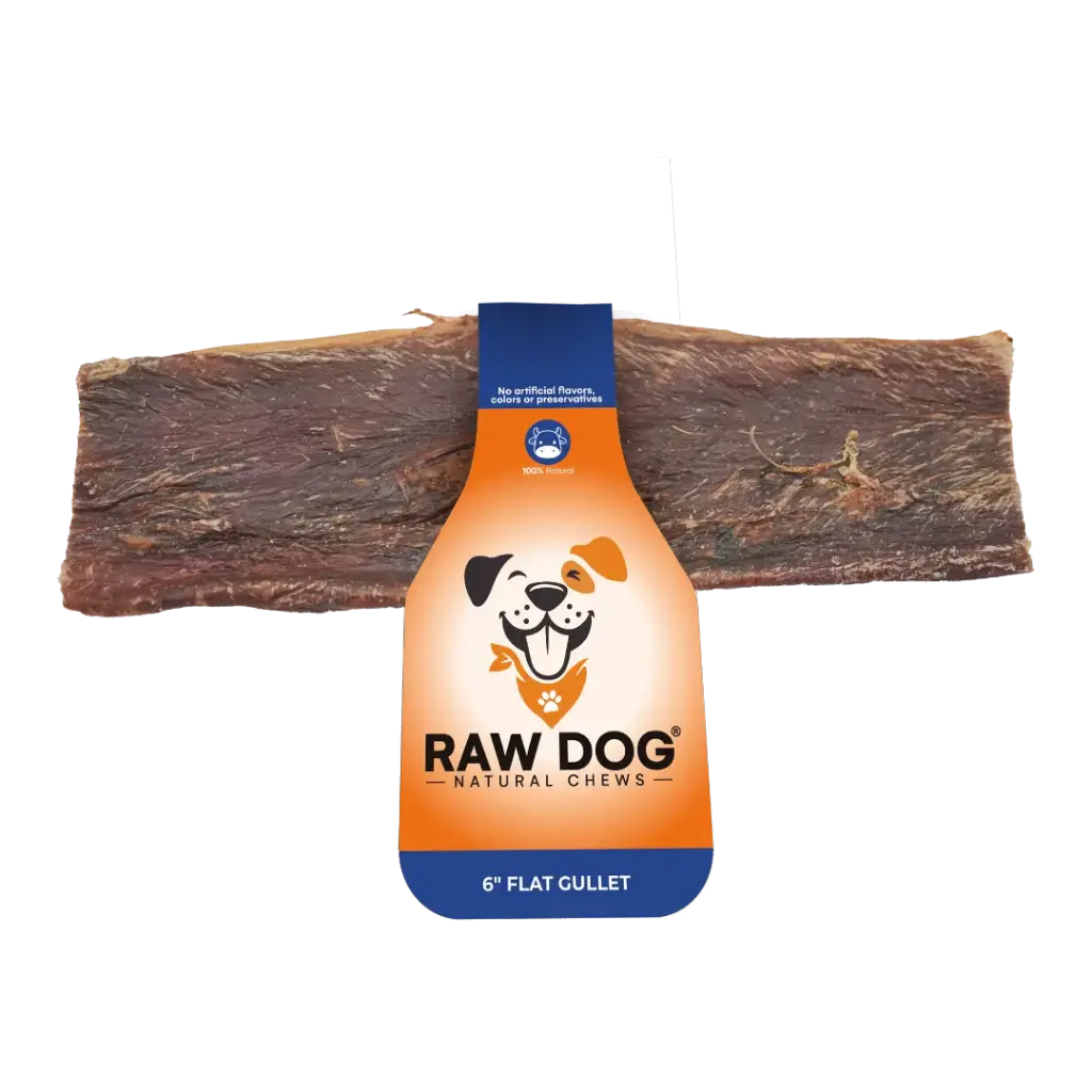 Raw Dog Beef Jerky Flat Gullet Dog Chew - 6in