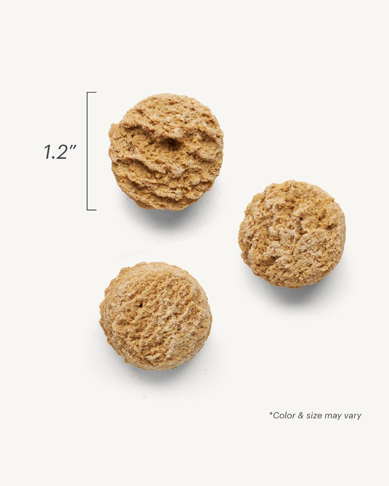 The Honest Kitchen Goat's Milk N' Cookies - Pumpkin & Cinnamon 8oz