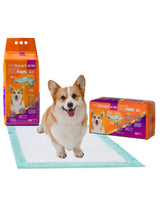 WizSmart All-Day Dry Dog Pads - Ultra 30 Pack