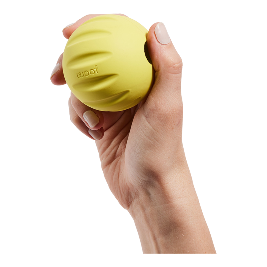 Woof Forager & Fetch Flyball Dog Toy